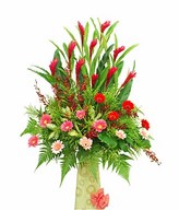 Red Ginger, Orchid & Mix Color Gerbera