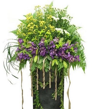Mix Color Chrysan Pom-poms & Orchid