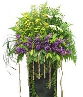 Mix Color Chrysan Pom-poms & Orchid