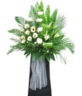 White Gerbera, White Casa Lily & White Chrysanthemum