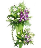 White Gerbera WIth Orchid