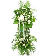 White Chrysan Pom-poms & White Chrysanthemum & White Gerbera