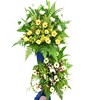 Gerbera, White Chrysanthemum & Orchid