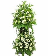 White Chrysanthemum, White Chrysan Pom-poms & White Gerbera