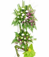 White Gerbera, White Chrysanthemum & Orchid