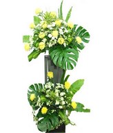 Yellow Chrysanthemum and White Chrysan Pom-poms