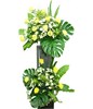 Yellow Chrysanthemum and White Chrysan Pom-poms
