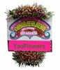 Congratulation Board Flower. Size 2x1,5M