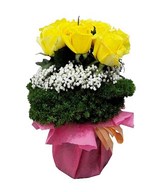 12 Yellow roses with filler in basket