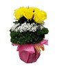12 Yellow roses with filler in basket