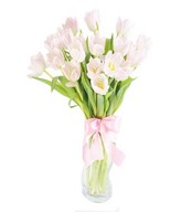 20 Pink Tulips in a Vase