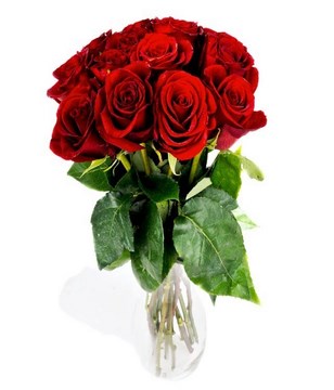 Bouquet of 12 Roses in Red