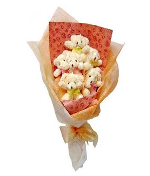 Bouquet of Teddy Bears