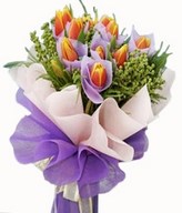 10 Tulips ( 2tone yellow/red )