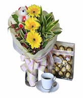 3 Yellow Gerbera With Bear And 24 Ferrero Rocher 