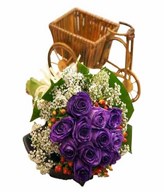 12 Purple Roses (Dyed) With Baby Breath Wrap With Monstera Leaves