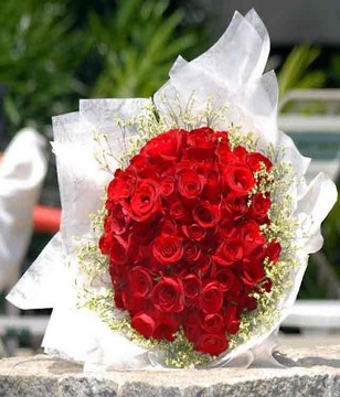 99 stalks of red roses with baby's breath