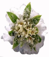 10 stalks white lilies and baby's breath.