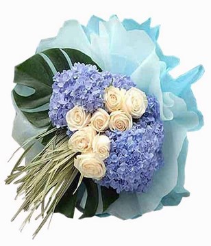 Hydrangea and cream roses with wheat grass.