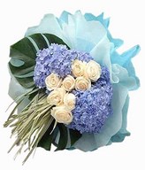 Hydrangea and cream roses with wheat grass.