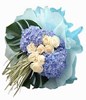 Hydrangea and cream roses with wheat grass.