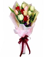12 mixed roses long wrapping