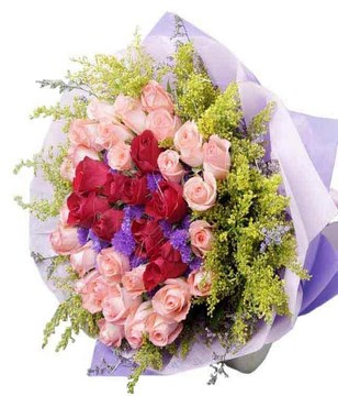 36 Pink/red Roses with Yellow Phoenix