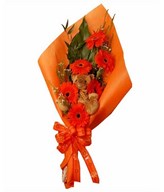 Six red gerberas with a bear