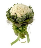 33 White Roses