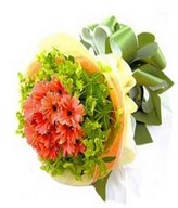 16 Pink Gerberas