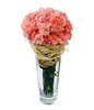Pink Carnations in Vase