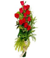 12 Red Roses