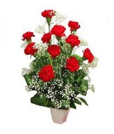 11 Red Carnations in Vase