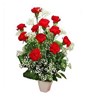 11 Red Carnations in Vase