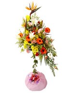Birds of Paradise, Lilies, Carnation, Daisy and assorted greens.