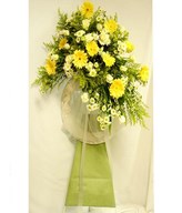 Yellow Daisy, Gerberas & More