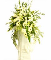 Assortment of White Flowers & Greens