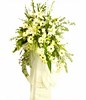 Assortment of White Flowers & Greens