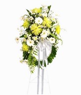 Daisy, Chrysanthemum & Pompom
