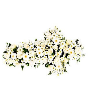 Array of White Flowers with Greens