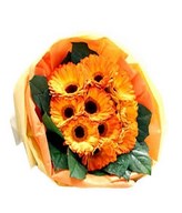 Bouquet of Orange Daisies or Gerberas