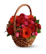Basket of red roses, red gerberas and red carnations