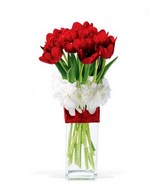 Red Tulips in Vase