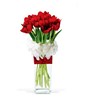 Red Tulips in Vase