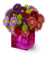 Spring Blooms in a Vase