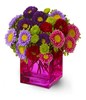 Spring Blooms in a Vase
