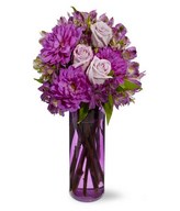 Assorted Blooms in a Vase