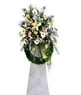 Lilies, daisies and more