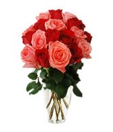 Red and pink roses in a bouquet