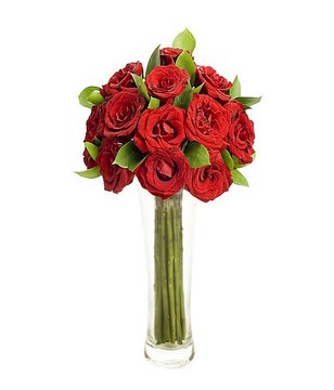 12 Red Roses in a Vase